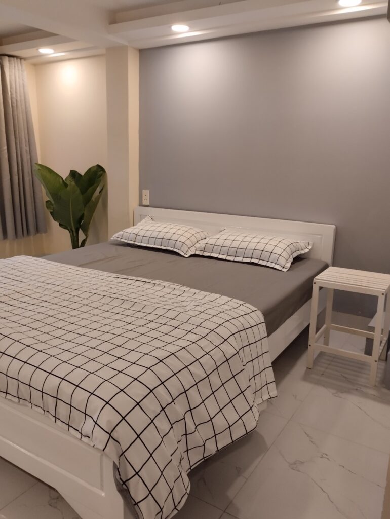 Furnished Studio for rent in District 1 Nguyen Trai street 1