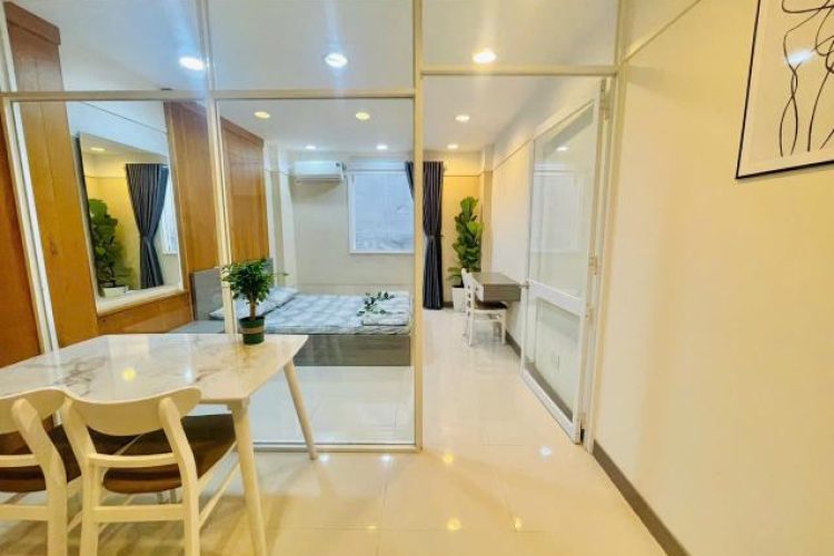 1 Bedroom for rent in Tan Binh District, HCMC, Nguyen Minh Hoang Street (4)