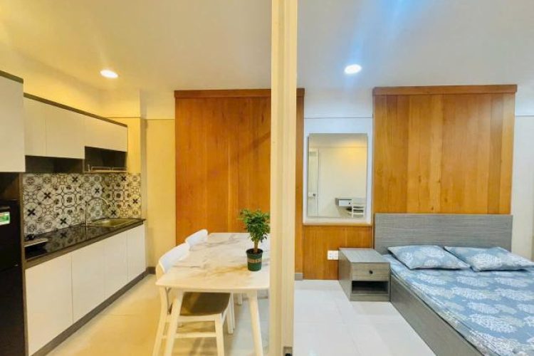 1 Bedroom for rent in Tan Binh District, HCMC, Nguyen Minh Hoang Street (8)