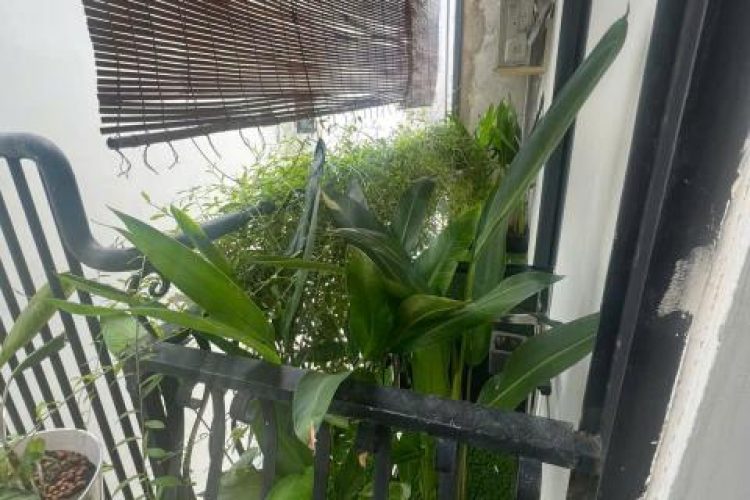 82 Nguyen Xi Thien Phuc Office for lease in Binh Thanh HCMC (7)