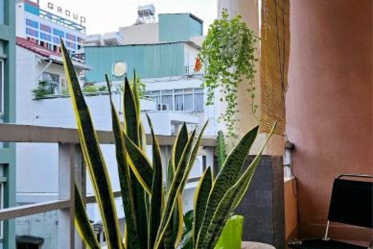 Aparment for rent in District 3 (5)