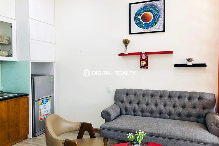 Apartment for rent in District 1 Hoang Sa street 10