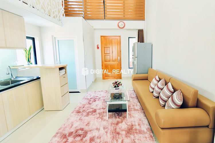 Duplex for rent in District 1 Tran Dinh Xu street 1