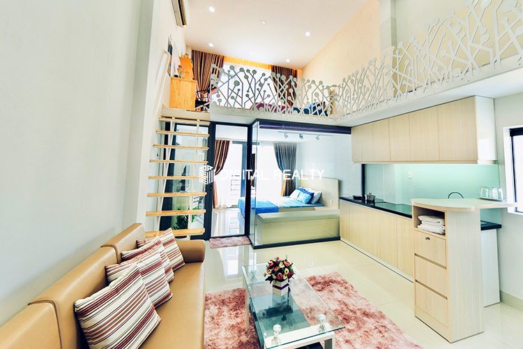 Duplex for rent in District 1 Tran Dinh Xu street 8