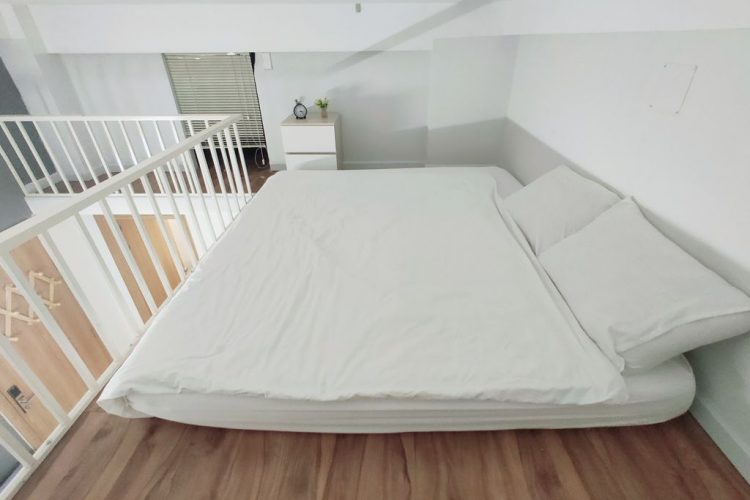 Loft Room apartment 20 m2 Good price in District 2 Street 63 Thao Dien 5
