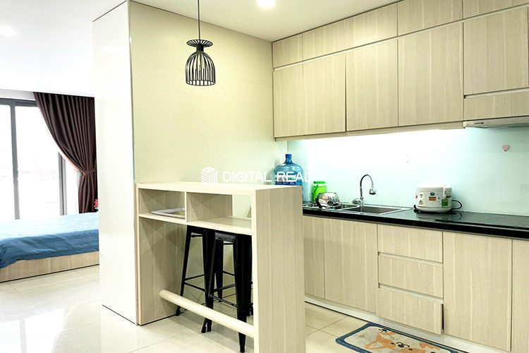 One Bedroom for rent in District 1 Tran Dinh Xu Street 5