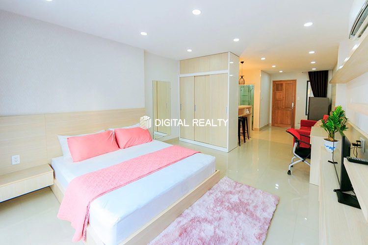 One Bedroom for rent in District 1 Tran Dinh Xu Street 7